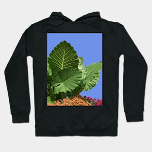 Leaves Hoodie